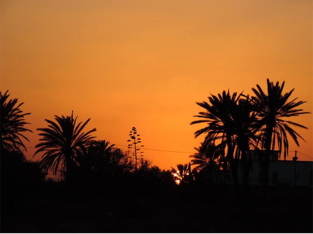 Dar Jasmin Djerba Bed & Breakfast Temlale Luaran gambar