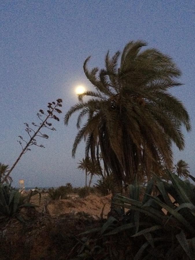 Dar Jasmin Djerba Bed & Breakfast Temlale Luaran gambar