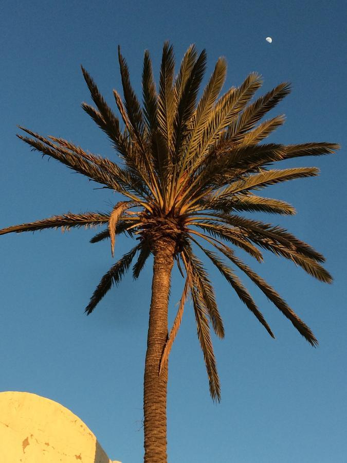 Dar Jasmin Djerba Bed & Breakfast Temlale Luaran gambar