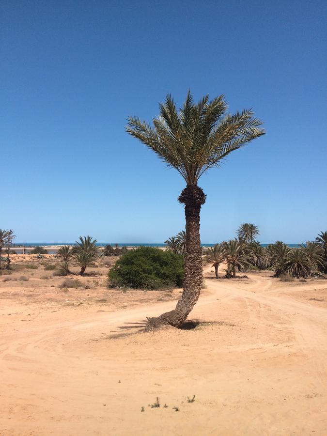 Dar Jasmin Djerba Bed & Breakfast Temlale Luaran gambar